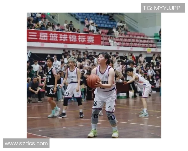 聚焦篮球运动员成长历程与赛场魅力全景深度解析新视角呈现亮点篇